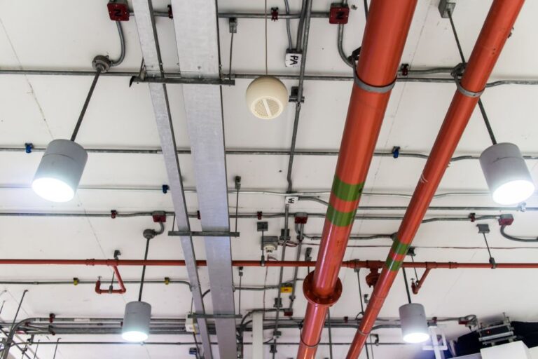 freepik-export-20241112155236QiKC